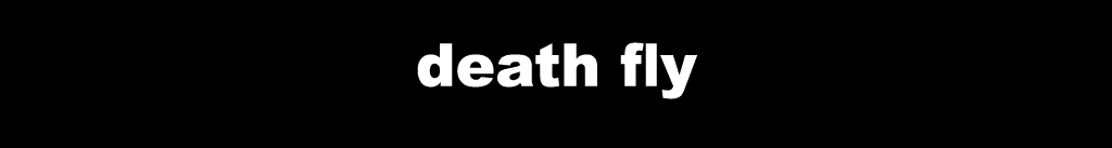go_to_statements_death-fly